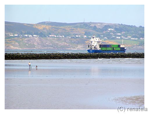 ferry Dublin's port. Low tide.