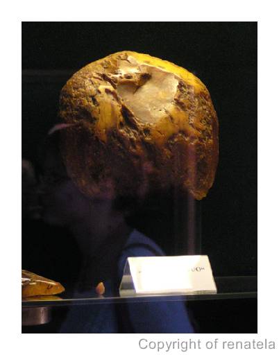 saulesakmuo Palanga, Lithuania, 2005. The biggest amber called 