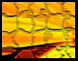 aprthumb.gif
