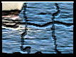 marthumb.gif