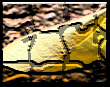 septhumb.gif