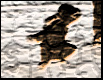 thumbjan06.jpg