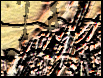 thumbmar06.jpg