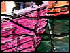 thumbmay06.jpg